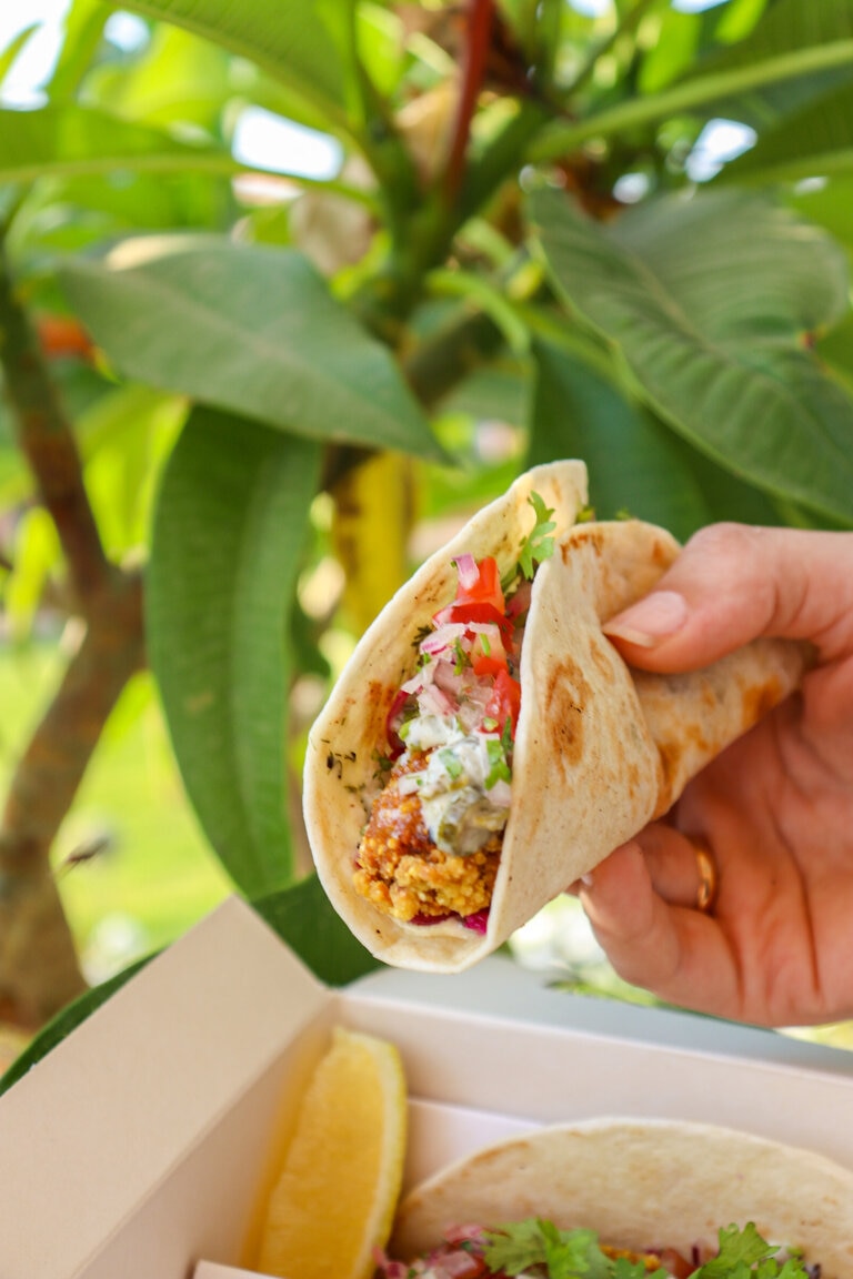 Fried Shrimp Taco (Talabat)