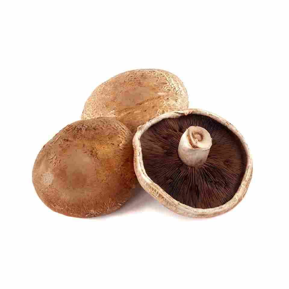 Extra Mushroom